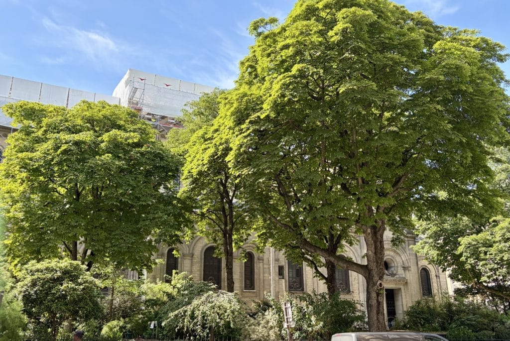 Location Appartement Meublé - 15.76 m² - 1 pièces - 75006 Paris - S06158 - 441375639784