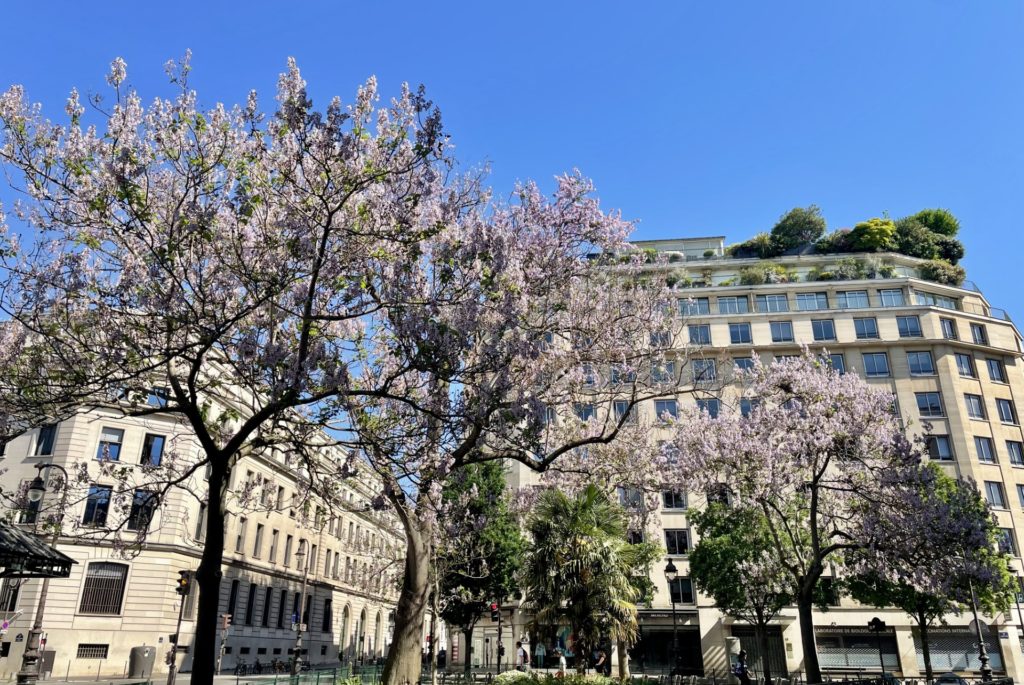 Location Appartement Meublé - 2 pièces - 36 m² - Louvre - Palais Royal - 75001 Paris - 101184-26