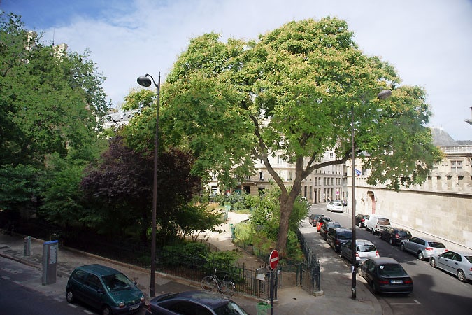Location Appartement Meublé - 2 pièces - 80 m² - Quartier Latin - Saint Germain de Prés - Odéon - 75005 Paris - 105390-16