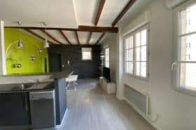 Location Appartement Meublé - 2 pièces - 50 m² - Plaisance - Porte de Vanves - 75015 Paris - 115314