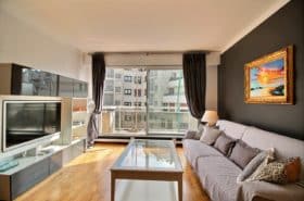 Furnished apartment - 2 rooms - 50 sqm - Etoile - Trocadéro - 75116 Paris - 116488