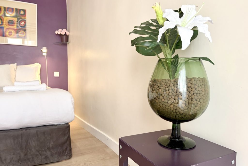 Location Appartement Meublé - 31 m² - 2 pièces - 75002 Paris - 102209 - 421112840379