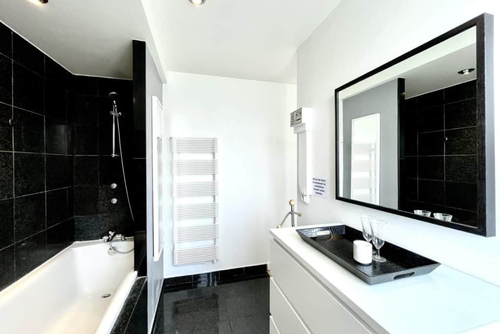 Location Appartement Meublé - 46.25 m² - 2 pièces - 75015 Paris - 115094 - 392671993041