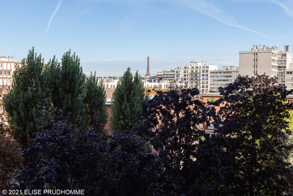 Location Appartement Meublé - 3 pièces - 63 m² - Porte de Versailles - Javel - Convention - 75015 Paris - 215433-32